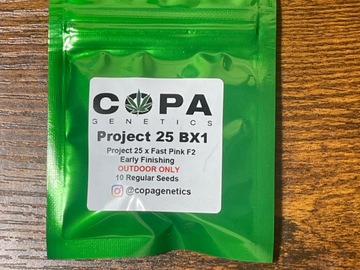 Sell: Copa project 25 bx1