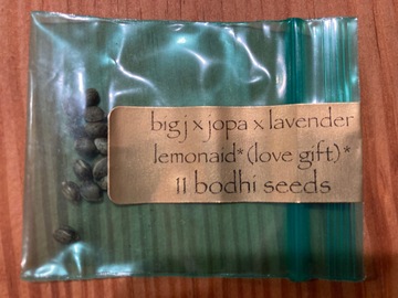 Sell: Bodhi - ‘big j x jopa x lavender lemonade’