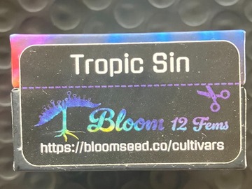 Sell: Tropic Sin from Bloom