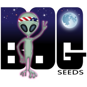 bog_seeds