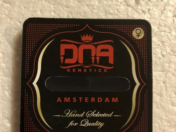 Sell: CANNALOPE HAZE BY DNA ( CUP WINNER)