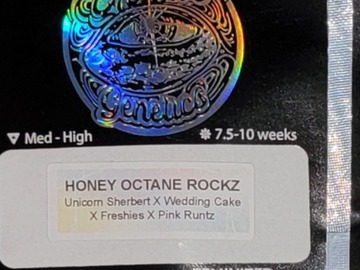 Selling: Honey Octane Rockz 6pk fems by Universally Creative Genetics