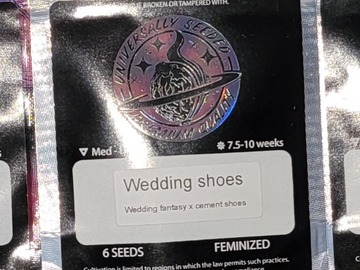 Selling: Wedding Shoes 6pk fems by Universally Seeded