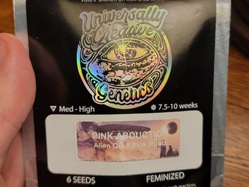 Selling: Pink Abduction 6pk fems by Universally Creative Genetics