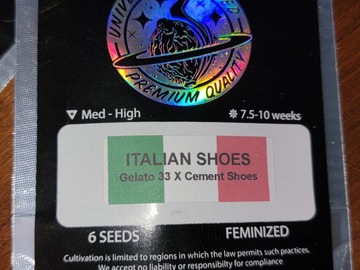 Selling: Italian Shoes 6pk fems by Universally Seeded