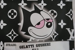 Sell: Gelatti Gusherz S1 Copycat Genetics Clone Only Fems
