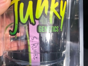 Vente: Super Runtz “Seed Junkies Super Exclusive Emerald cup Booth”