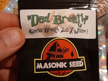 Selling: Masonic Seeds Dad Breath