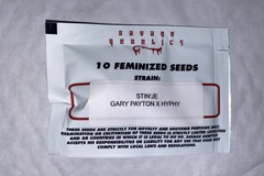 Stin’je (Gary Payton x Hyphy) - Savage Genetics