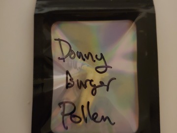 Selling: Donny Burger pollen shipping free SOLDOUT