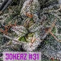 Venta: Jokerz #31 S1