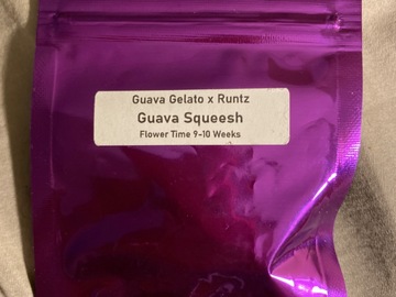 Selling: Guava squeesh