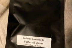 Selling: Clearwater gushers n cream