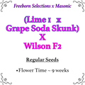 Venta: (Lime 1 x Grape Soda Skunk) X Wilson F2