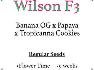 Vente: Wilson F3