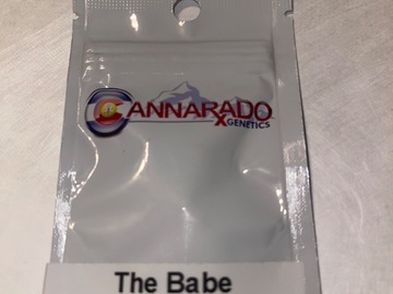 Selling: The Babe by cannarado