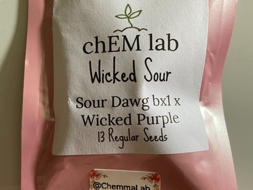 Vente: Chem Lab Seeds - Wicked Sour