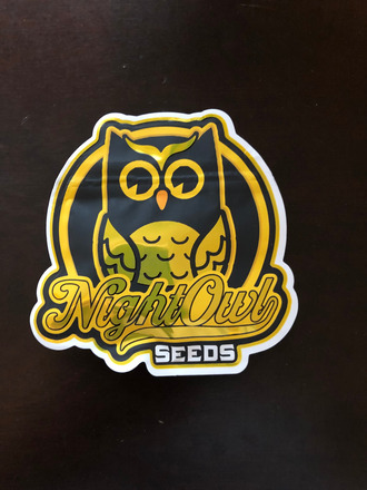 night owl seeds limited packs