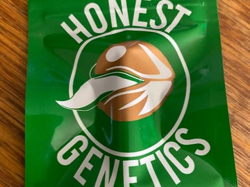 Selling: G6 - Honest Genetics
