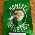 Sell: G6 - Honest Genetics