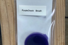 Vente: Thug Pug- PurpleDrank Breath
