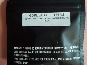 Venta: Fresh Coast Gorilla Butter F1 V2