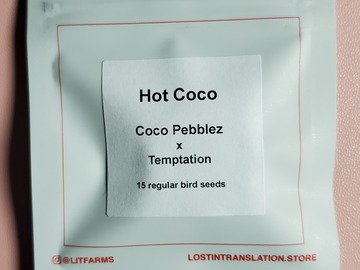 Selling: Hot Coco Lit Farms