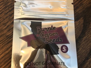 Sell: Caper Purple Assorted Chocolates CBD 5 pack