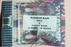 Vente: RS-11 x Candy Rain Tiki Madman