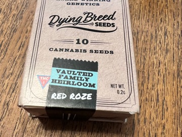 Selling: Red Rozé Dying Breed Seeds