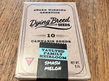 Vente: Smash Melon - Dying Breed Seeds