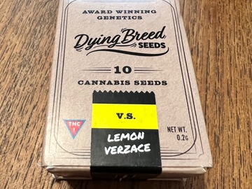 Selling: VS Lemon Verzace - Dying Breed Seeds