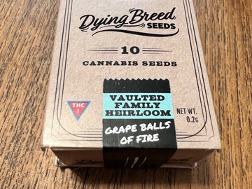 Vente: Grape Balls of Fire - Dying Breed Seeds