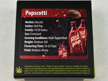 Sell: Popscotti (Biscotti x Red Pop) by Exotic Genetix