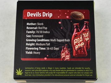 Sell: Devils Drip (Sherb x Red Pop) by Exotic Genetix