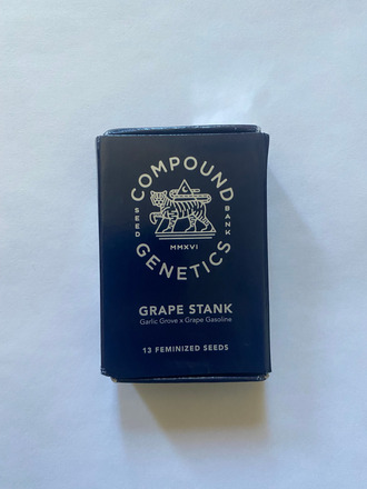 Compound Genetics – Grape Stank (Garlic Grove x Grape Gasoline) - Strainly