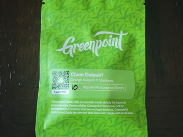 Sell: Chem Daiquiri (10 regs) - Greenpoint Seeds