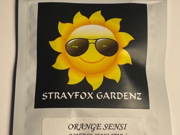 Sell: Strayfox Orange Sensi