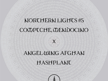 Vente: Northern Lights #5 X Angel Wing Afghan Hashplant