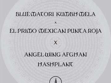 Vente: Blue Matori x El Primo X Angel Wing Afghan Hashplant