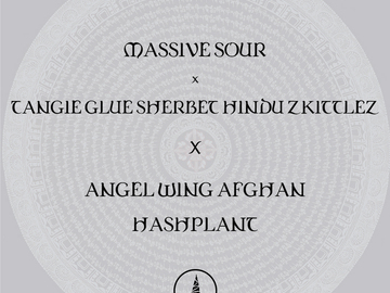 Sour x Tangie Glue Sherbet Hindu Zkittlez X Angel Wing Afghan