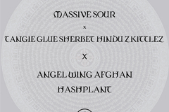 Vente: Sour x Tangie Glue Sherbet Hindu Zkittlez X Angel Wing Afghan