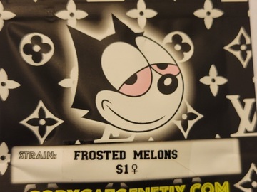 Vente: Frosted Melons S1 Copycat Genetix FEMS