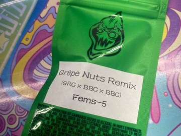 Selling: Robinhood - Gr8pe Nuts Remix