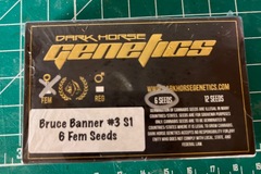 Venta: Darkhorse Genetics- Bruce Banner s1