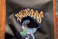 Vente: Hashsaurus