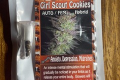 GIRL SCOUT COOKIES AUTO FEMINIZED SEEDS