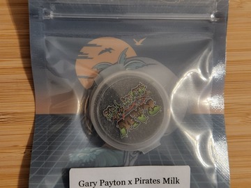 Tikimadman - Gary Payton x Pirate Milk