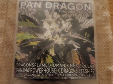 Sell: Mass Medical Strains - Pan Dragon