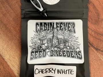 Sell: Cherry White by Cabin Fever Seed Breeders